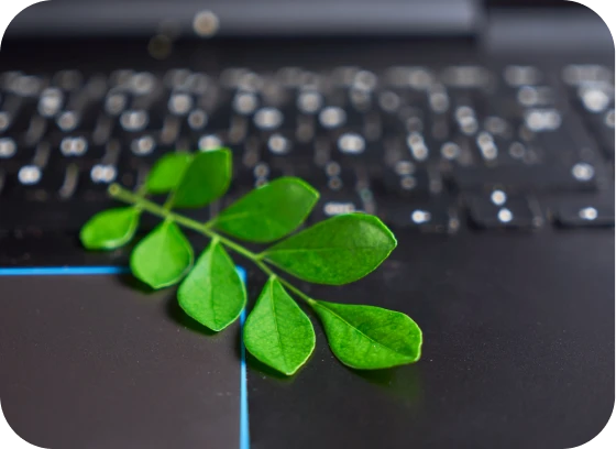 Mask group (8) Green plant on a laptop representing the eco-conscious approach of our hardware subscription service.